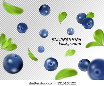 Falling blueberry isolated on transparent background. Quality realistic vector, 3d illustration