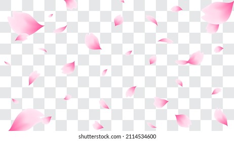 Caída de pétalos de flores de cerezo Ilustración vectorial. Pétalos rosados de sakura sobre fondo transparente falso