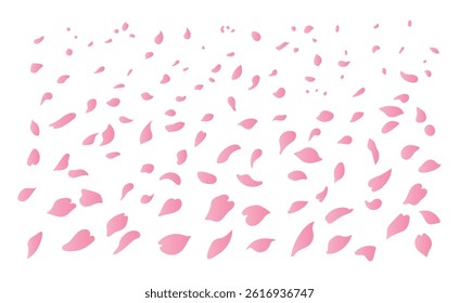 Falling Cherry Blossoms, cherry blossoms falling, fall season, vector illustration background