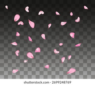  Pétalos de cereza que caen. Pétalos rosados sobre fondo transparente oscuro Ilustración vectorial