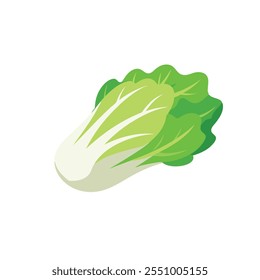 
The falling Chinese cabbage isolated flat vector illustration on white background