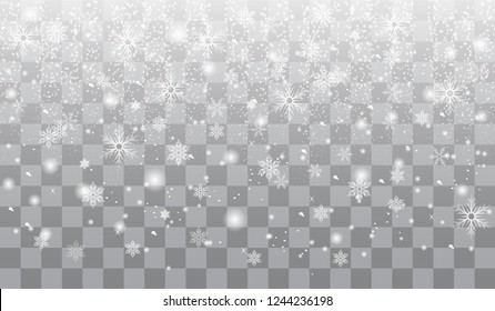 Falling Christmas Shining transparent beautiful snow isolated on transparent background. Snowflakes, snowfall. snowflake vector. Vector illustration.