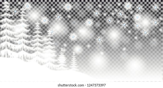 Falling Christmas Shining transparent beautiful, little snow isolated on transparent background.Pine trees / Christmas trees realistic hand drawn vector set