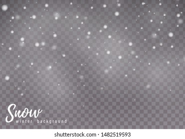 Falling Christmas snow. Realistic falling snowflakes isolated on transparent background. Vector heavy snowfall in different shapes and forms.