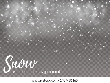Falling Christmas snow. Realistic falling snowflakes isolated on transparent background. Vector heavy snowfall in different shapes and forms.