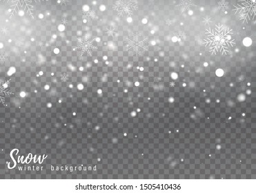 Falling Christmas snow. Realistic falling snowflakes isolated on transparent background. Vector heavy snowfall in different shapes and forms.