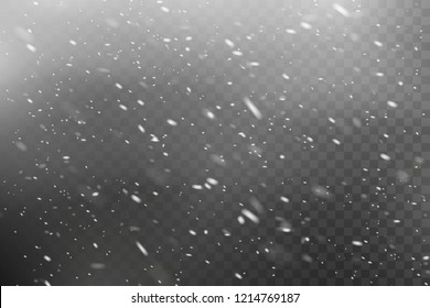 Falling Christmas snow. Snowstorm and blizzard. Snowflakes isolated on transparent background.