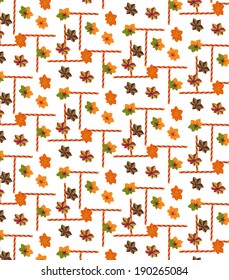 falling colored leaves on white background