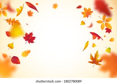 Falling colorful autumn leaves with defocused blur effect. Autumn background with leaf fall for your design. Vector illustration.