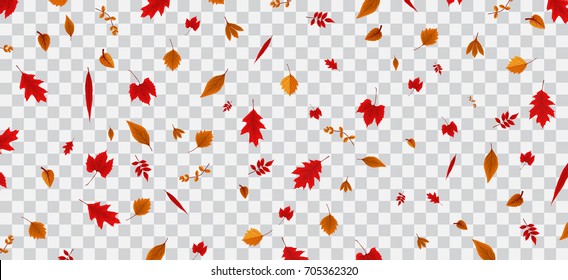 Falling Colorful Autumn Leaves On Transparent Background. Vector Illustration. EPS10