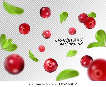Falling cranberry isolated on transparent background, full depth of field. Quality realistic vector, 3d illustration