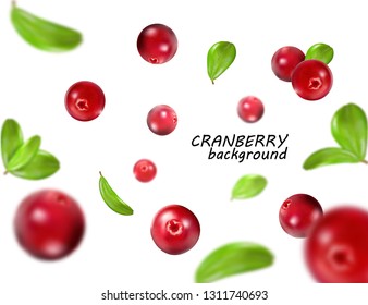 Falling cranberry isolated on white background, full depth of field. Quality realistic vector, 3d illustration