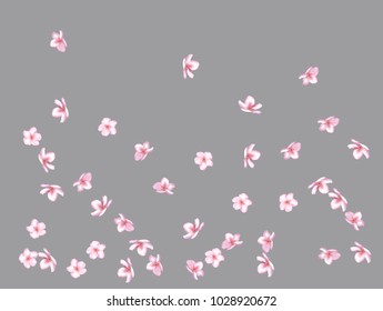 Falling Down Cherry Blossom, Realistic Vector Background. Japanese Sakura Modern Romantic Illustration. Wedding Decoration, Flying Pink Cherry Blossom, Love Magic Design. Showering Isolated Flowers