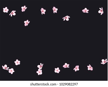 Falling Down Cherry Blossom, Realistic Vector Background.