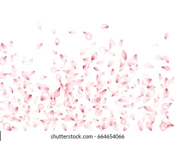 Falling down flower petals flying vector background. Blossom elements pattern. Confetti spring or summer backdrop. Flower petals isolated on white background.