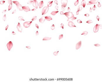 Falling down flower petals flying vector background. Blossom petals, bloom elements pattern. Confetti spring or summer background. Flower parts falling and flying isolated on white background.