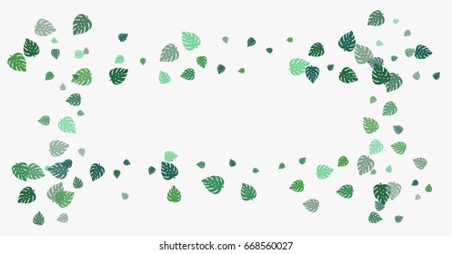 Falling down or flying vector monstera leaves confetti. Digital floral background. 