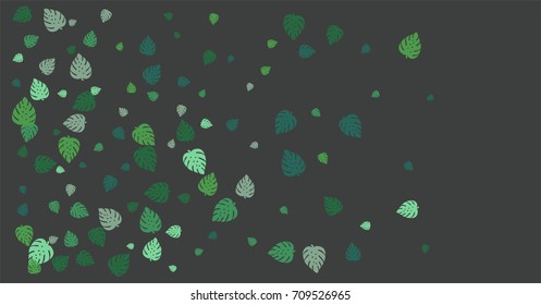 Falling down or flying vector monstera leaves confetti. Digital floral background. Graphic illustration of tropical leaves. Exotic border decoration. Green and turquoise simple monstera plant leaves.