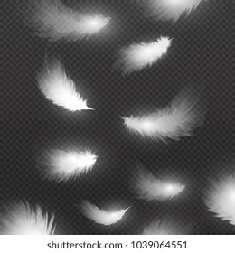 Falling down realistic white feathers isolated on black background vector illustration. Feather down falling, white fluffy