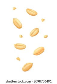 Falling down shelled peanut kernels and crumbs isolated on white background. Realistic vector illustration.