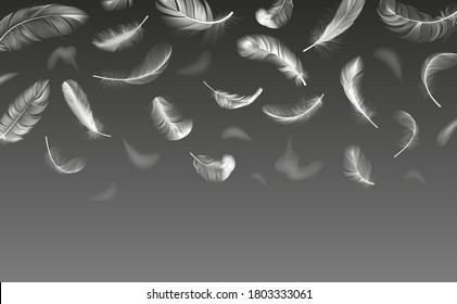Falling feathers. Realistic twirled fluffy feathers, white fluffy angel wings feather flow, floating bird plumage vector background illustration. Floating white swan fluffy lightweight