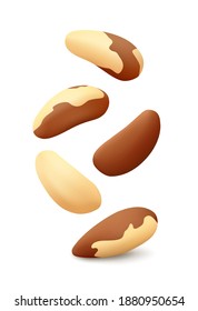 Falling five Brazil nuts in the air. Isolated on white background. Realistic vector illustration.