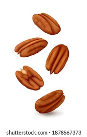 Falling five pecan nuts (halves of kernels) in the air. Isolated on white background. Realistic vector illustration.