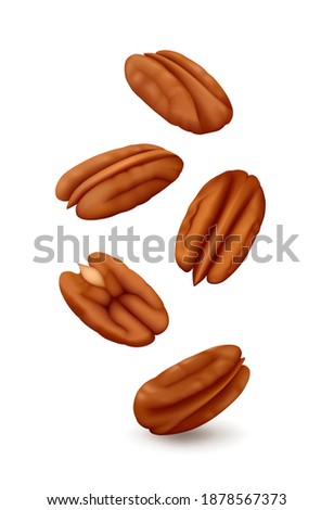 Falling five pecan nuts (halves of kernels) in the air. Isolated on white background. Realistic vector illustration. 商業照片 © 