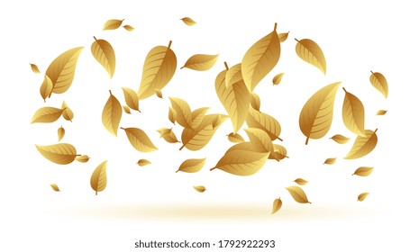 falling or floating leaves background design