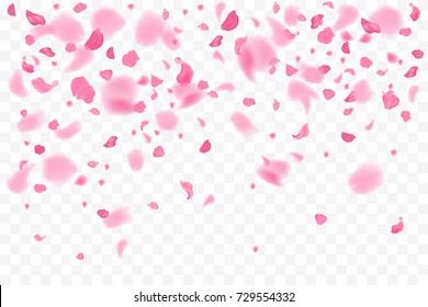 Falling flower petals