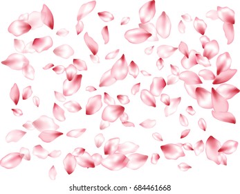 Falling flower petals vector background. Spring blossom elements. Bloom parts confetti pattern isolates on white. Elegant romantic background.