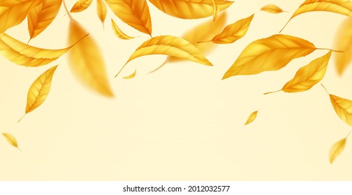 Falling flying autumn leaves background. Realistic autumn yellow leaf isolated on yellow background. Fall sale background. Vector illustration EPS10