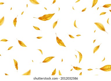 Falling flying autumn leaves background. Realistic autumn yellow leaf isolated on white background. Fall sale background. Vector illustration EPS10