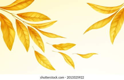 Falling flying autumn leaves background. Realistic autumn yellow leaf isolated on white background. Fall sale background. Vector illustration EPS10