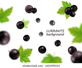 Falling (flying) black currant isolated on transparent background. Vector realistic, 3d illustraton
