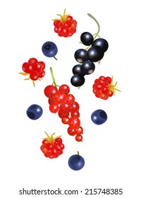 Falling forest ripe berries isolated on white