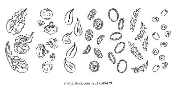 Queda de legumes frescos fatiados. Esboço de brócolis, pepino, espinafre, azeitona, cebola, alface, rúcula. Ilustração vetorial