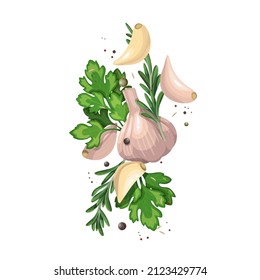 Falling garlic with herbs and spices. Cooking spicy food concept. Vector illustration of fresh garlic.