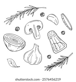 Falling garlic with herbs and spices. Cooking spicy food concept. Drawn engraved vector illustration of fresh garlic.