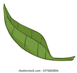 Falling green leaf, isolated icon of nature and natural elements. Seasonal flora of summer or spring. Botany shrubs or bushes, plants or trees. Ecology logo or symbol sign. Vector in flat style