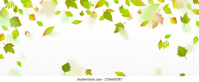 Falling green leaves decorative border on white. Vector decorative background template. Nature seasonal design element.