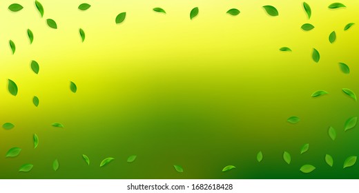 Falling green leaves. Fresh tea random leaves flying. Spring foliage dancing on white background. Appealing summer overlay template. Great spring sale vector illustration.