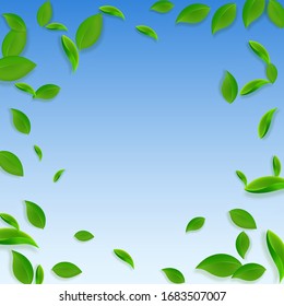 Falling green leaves. Fresh tea chaotic leaves flying. Spring foliage dancing on blue sky background. Alluring summer overlay template. Captivating spring sale vector illustration.