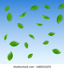 Falling green leaves. Fresh tea neat leaves flying. Spring foliage dancing on blue sky background. Admirable summer overlay template. Positive spring sale vector illustration.