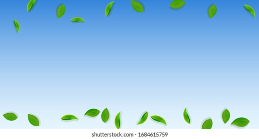 Falling green leaves. Fresh tea neat leaves flying. Spring foliage dancing on blue sky background. Alluring summer overlay template. Noteworthy spring sale vector illustration.