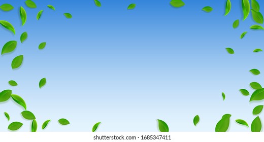 Cae hojas verdes. Salsas caóticas de té fresco volando. Follaje de primavera bailando sobre fondo azul del cielo. Atractiva plantilla de superposición de verano. Ilustración vectorial de venta de resorte divino.