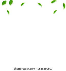 Fallende grüne Blätter. Frischer Tee, der zufällig fliegt. Frühlingsblümchen tanzen auf weißem Hintergrund. Live Summer Overlay Vorlage. Bemerkenswerte Vektorillustration zum Frühjahrsverkauf.