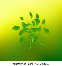 Falling green leaves. Fresh tea chaotic leaves flying. Spring foliage dancing on yellow green background. Actual summer overlay template. Unusual spring sale vector illustration.