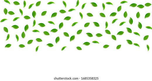 Cae hojas verdes. Salen al azar té fresco. Follaje de primavera bailando sobre fondo verde amarillo. Atractiva plantilla de superposición de verano. Ilustración vectorial de venta de resorte bizarro.