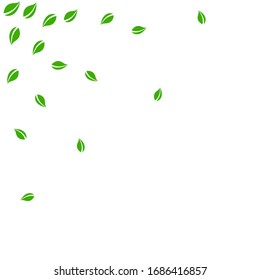 Fallende grüne Blätter. Frischer Tee, der zufällig fliegt. Frühlingsblümchen tanzen auf weißem Hintergrund. Aktuelle Sommerüberlagerungsvorlage. Frische Frühlingsverkauf Vektorillustration Illustration.